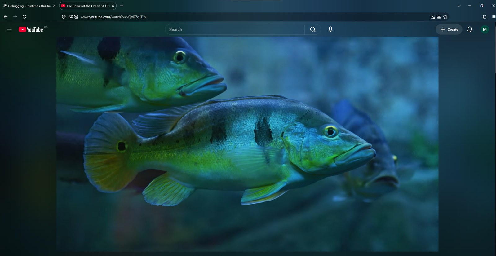 Firefox tab bar and toolbar tinted teal to match an underwater YouTube video